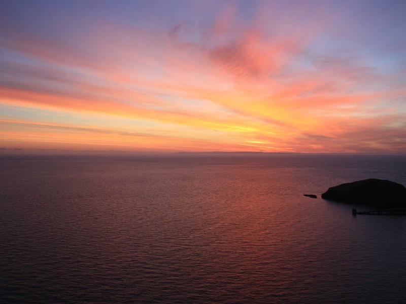 전문 케어 시스템